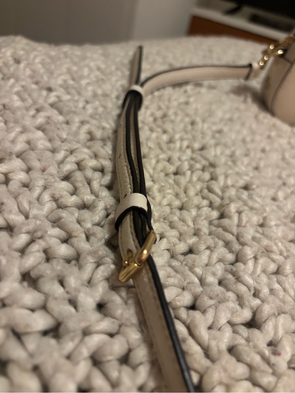 Coach Peanuts Woodstock Mini Serena leather Crossbody Happy Camper Handbag - Picture 12 of 13